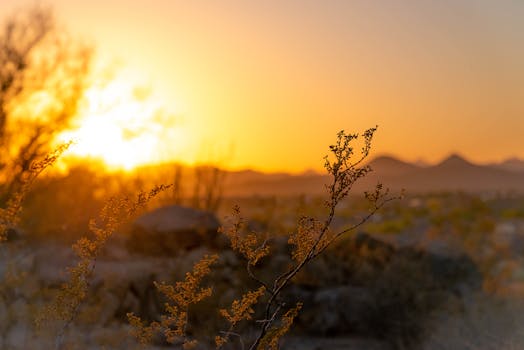 Focus on the Golden Hour